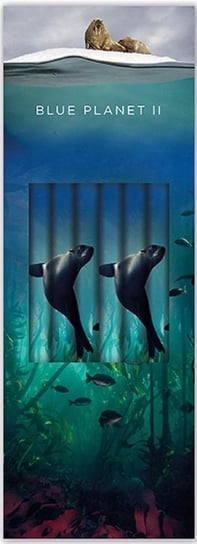 Ołówek Ozdobny Sea Lion (6Szt) Museums & Galleries