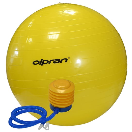 Olpran, Piłka gimnastyczna z pompką, 55 cm Olpran