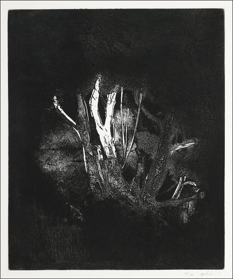 Omega’s Eyes (ca. 1908–1909), Edvard Munch - plaka / AAALOE Inna marka