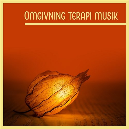 Omgivning terapi musik – Spa, graviditet, yoga, studera, meditation, sova, reiki, avslappning, mantra Various Artists