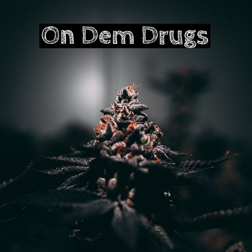 On Dem Drugs Bloc Boiz