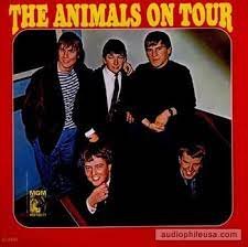 On Tour The Animals