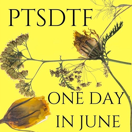 One Day In June PTSDTF