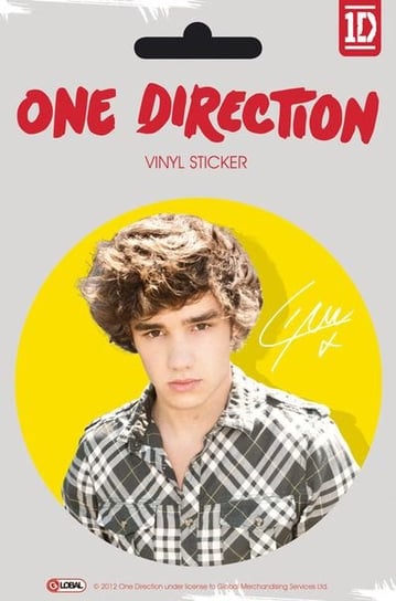 One Direction Liam Colour - naklejka 10x15 cm One Direction