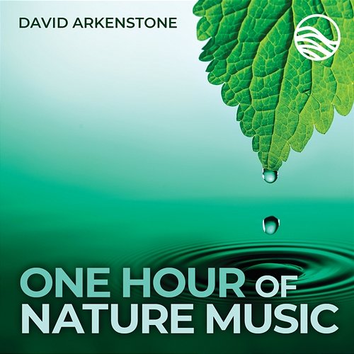 One Hour Of Nature Music: For Massage, Yoga And Relaxation David Arkenstone