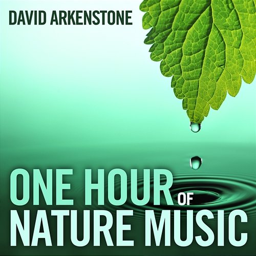 One Hour Of Nature Music: For Massage, Yoga And Relaxation David Arkenstone