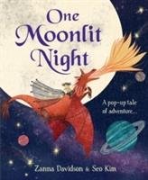 One Moonlit Night Davidson Susanna