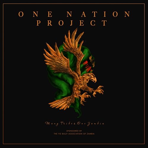 One Nation Project Chanda Mbao