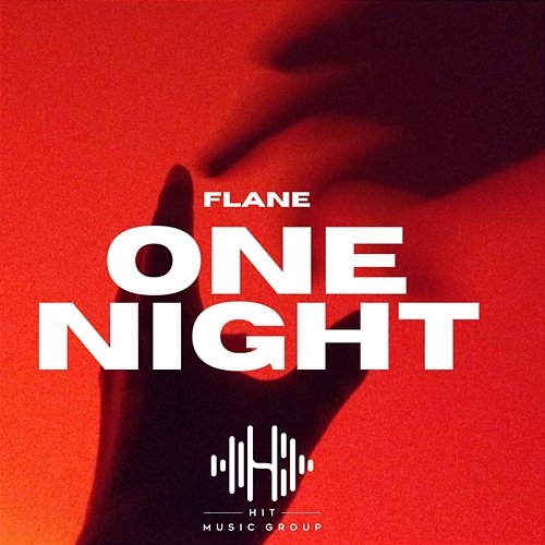 One Night Flane