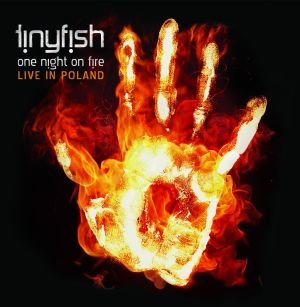 One Night On Fire Tinyfish