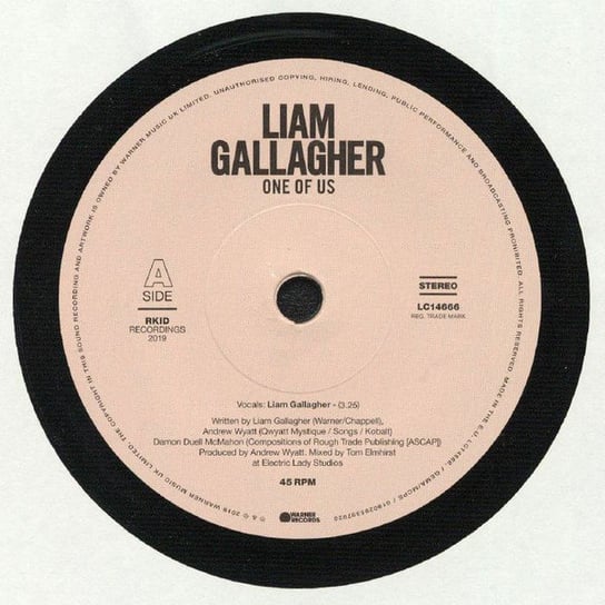 One Of Us, płyta winylowa Gallagher Liam