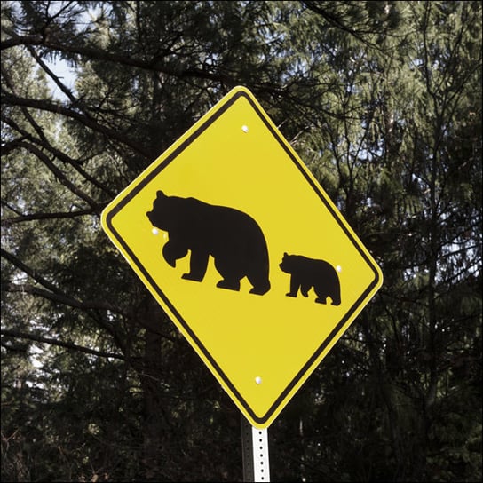 One of what are fairly common bear-crossing signs in California’s Sierra Mountains., Carol Highsmith - plakat 30x30 cm Galeria Plakatu