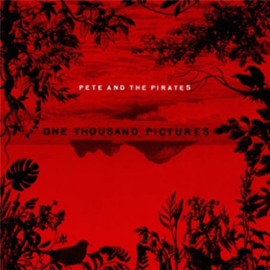 One Thousand Pictures Pete and the Pirates