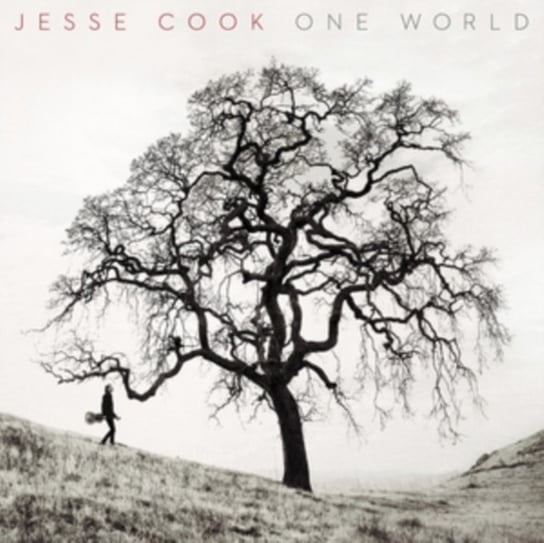 One World Jesse Cook