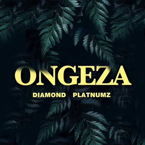 Ongeza Diamond Platnumz