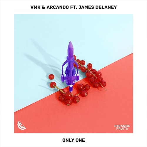 Only One VMK & Arcando feat. James Delaney