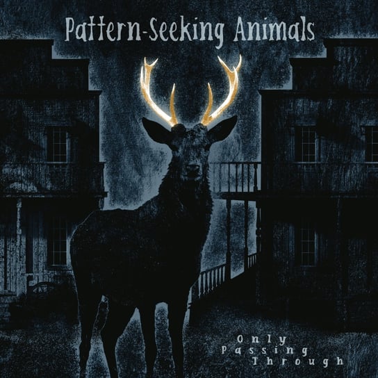 Only Passing Through, płyta winylowa Pattern-Seeking Animals