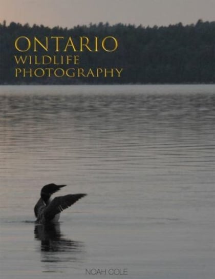 Ontario Wildlife Photography Noah Cole