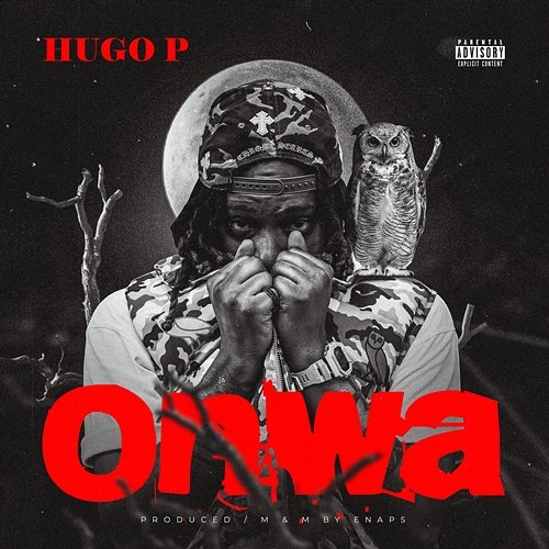 Onwa Hugo P