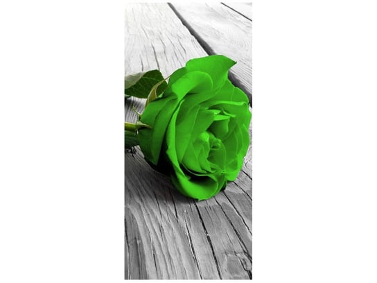 Oobrazy, Fototapeta, Limonkowa róża na deskach, 95x205 cm Oobrazy