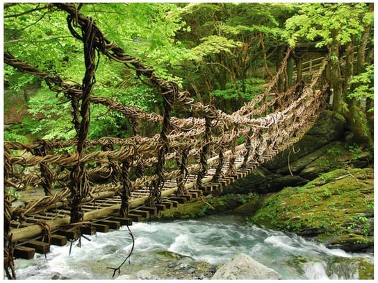 Oobrazy, Fototapeta, Most linowo-bambusowy, 200x150 cm Oobrazy