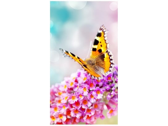 Oobrazy, Fototapeta, Motyl na kwiatkach, 110x200 cm Oobrazy