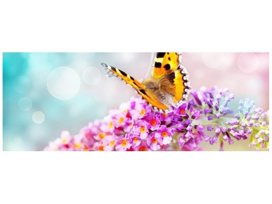 Oobrazy, Fototapeta, Motyl na kwiatkach, 268x100 cm Oobrazy