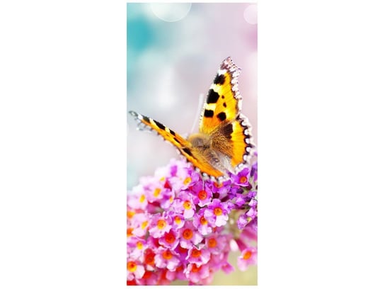 Oobrazy, Fototapeta, Motyl na kwiatkach, 95x205 cm Oobrazy