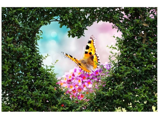 Oobrazy, Fototapeta, Motyl w sercu z bukszpanu, 200x135 cm Oobrazy