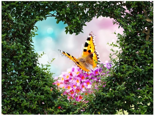 Oobrazy, Fototapeta, Motyl w sercu z bukszpanu, 200x150 cm Oobrazy
