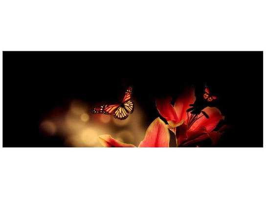Oobrazy, Fototapeta, Motyle i lilia, 268x100 cm Oobrazy