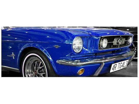 Oobrazy, Fototapeta, Niebieski Mustang, 268x100 cm Oobrazy