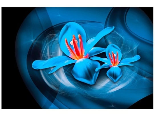 Oobrazy, Fototapeta, Niebieskie kosmiczne kwiaty - Jakub Banaś, 200x135 cm Oobrazy