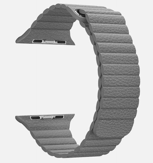 Opaska Pasek Leatherloop Apple Watch 1/2/3/4/5/6/7/8/Se 38/40/41Mm Gray Bestphone