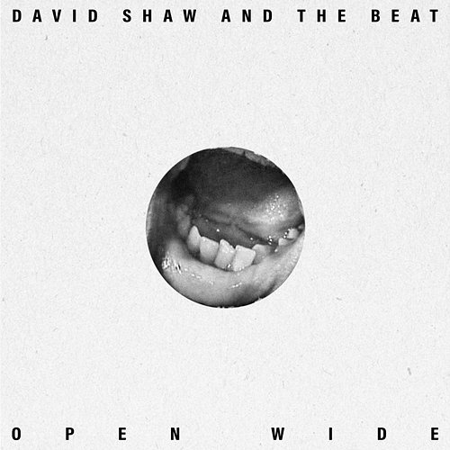 Open Wide The Beat, David Shaw