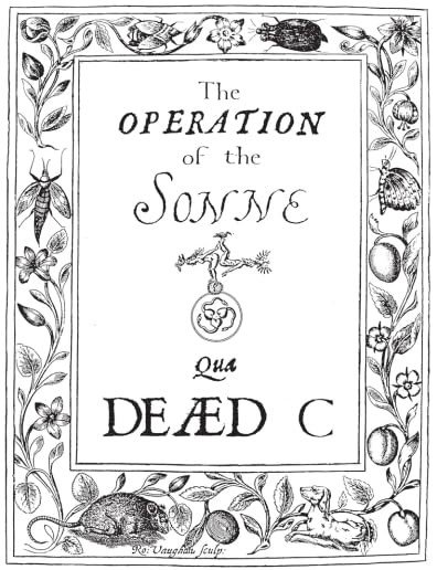 Operation Of The Sonne, płyta winylowa Dead C