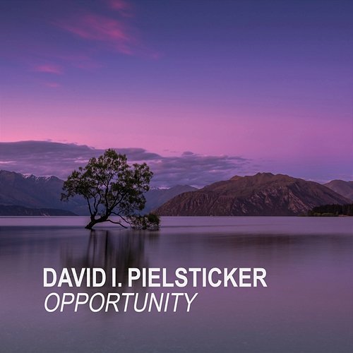 Opportunity David I. Pielsticker