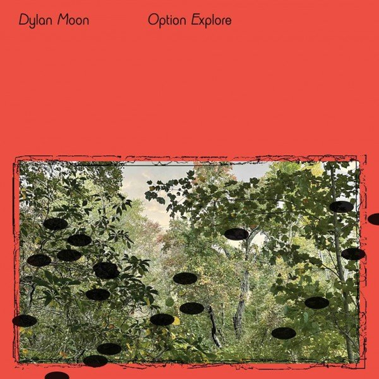 Option Explore, płyta winylowa Moon Dylan