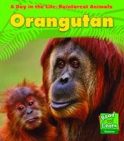 Orangutan Ganeri Anita