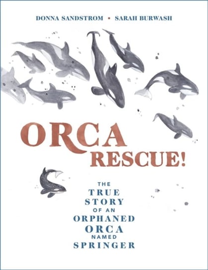 Orca Rescue!: The True Story of an Orphaned Orca Named Springer Donna Sandstrom