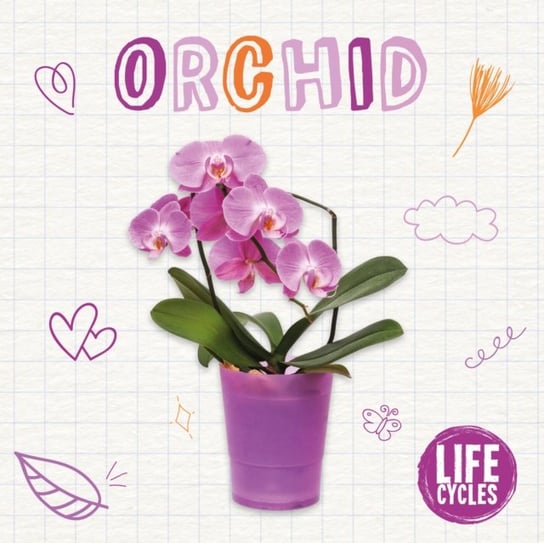 Orchid Kirsty Holmes