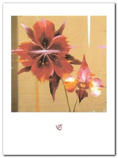 Orchid & Corn Poppy plakat obraz 60x80cm Wizard+Genius