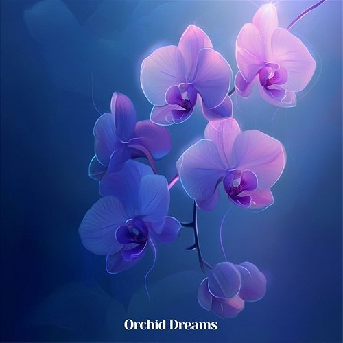 Orchid Dreams Buster Blanco