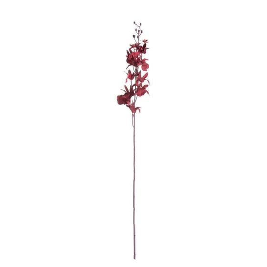 Orchidea 100cm maroon, 10 x 10 x 100 cm Inna marka