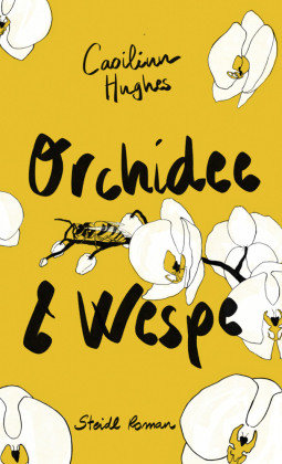 Orchidee & Wespe Steidl