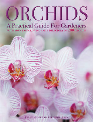 Orchids Mikolajski Andrew
