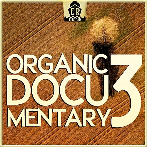 Organic Documentary 3 - Mixed Mallets Andreas Suttner