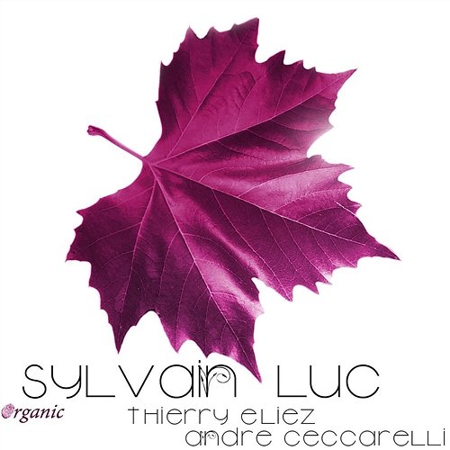 Organic (feat. Thierry Eliez & André Ceccarelli) Sylvain Luc