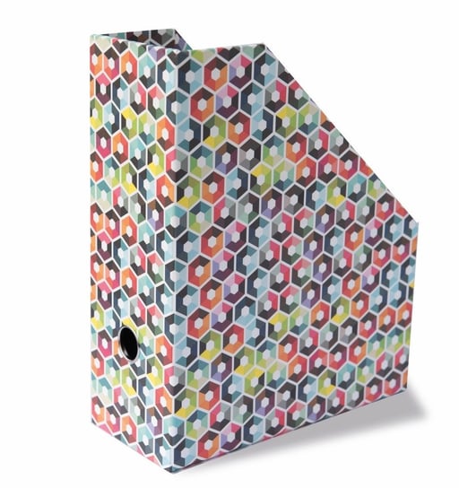Organizer na dokumenty i kolorowe magazyny Hexagon REMEMBER, 26x11x31 cm Remember