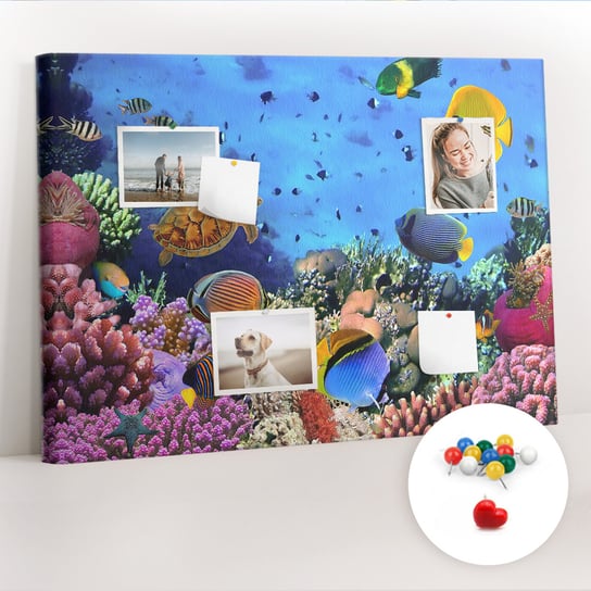 Organizer, Tablica korkowa 100x70 cm + Kolorowe Pinezki - Podwodne życie Coloray